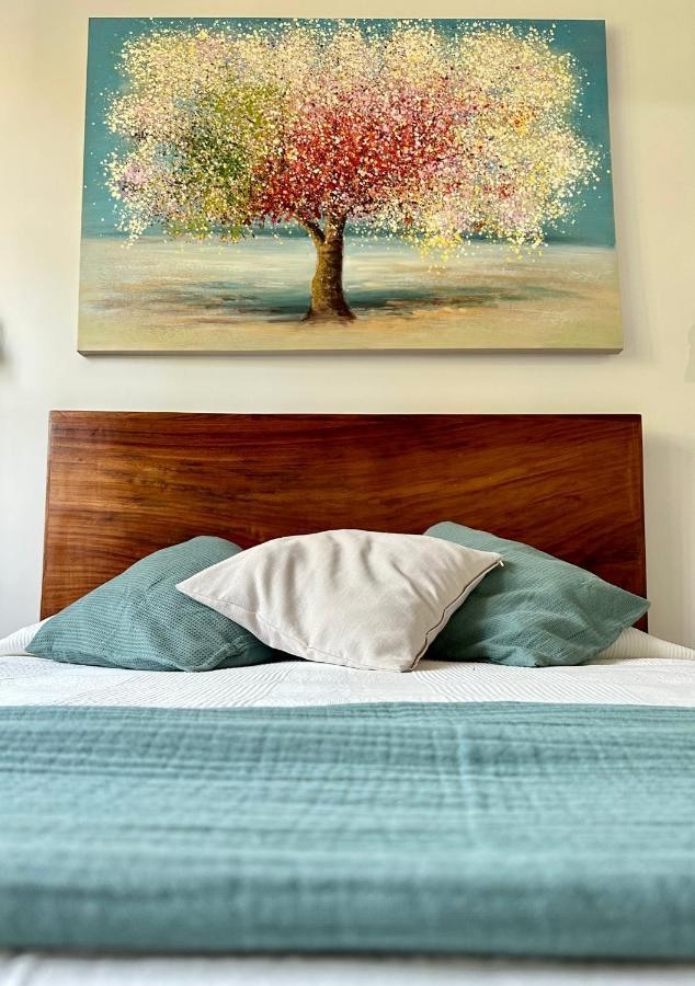 Hotel Boutique Casa Degollado 科利马 外观 照片