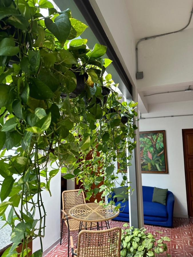 Hotel Boutique Casa Degollado 科利马 外观 照片