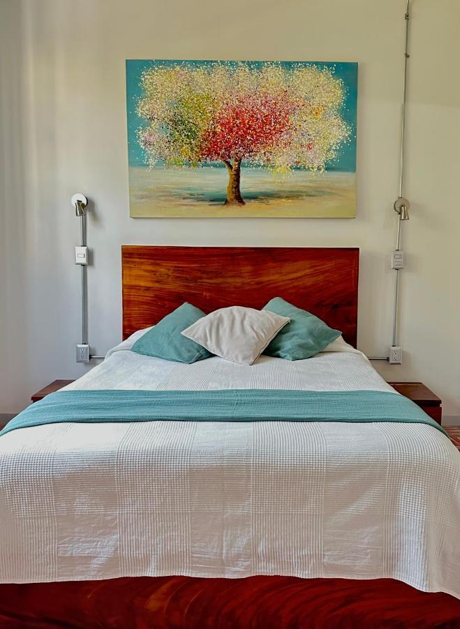 Hotel Boutique Casa Degollado 科利马 外观 照片