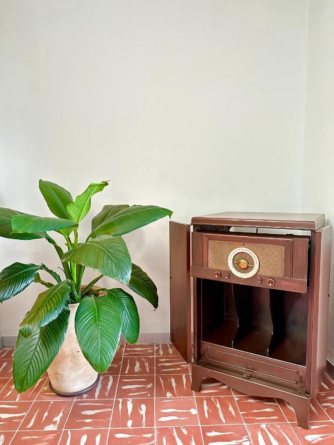 Hotel Boutique Casa Degollado 科利马 外观 照片